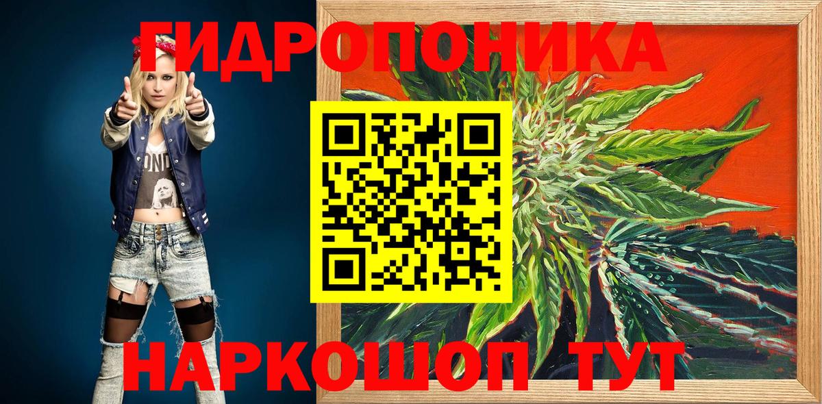 Конопля сатива Корсаков